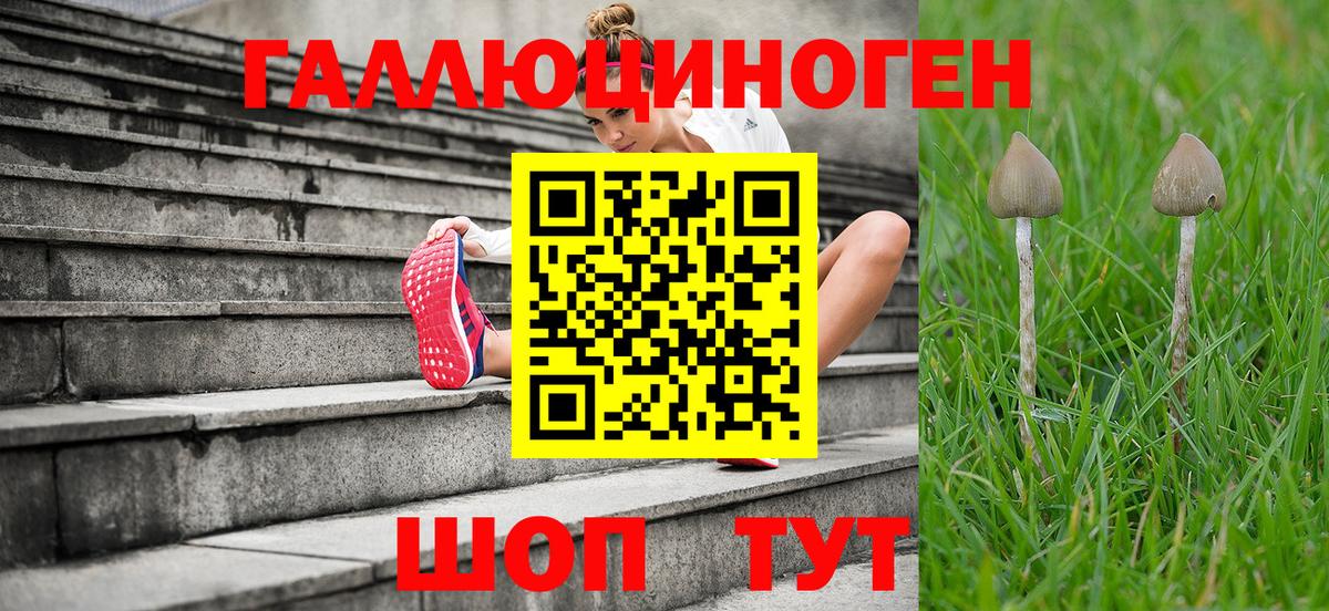 Галлюциногенные грибы Шадринск