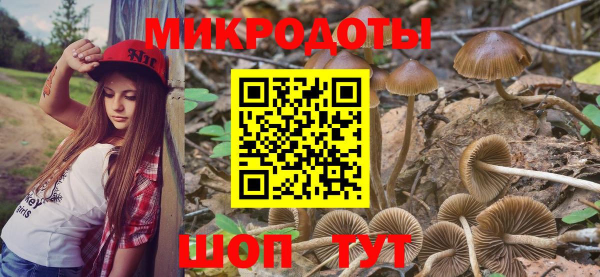 Галлюциногенные грибы MAGIC MUSHROOMS Шадринск