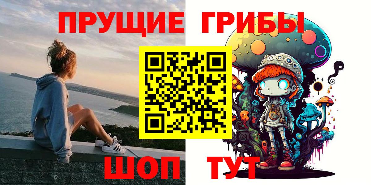 Шадринск  Псилоцибиновые грибы мицелий  Вход с VPN 